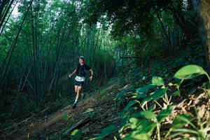 BIB: 
                            <button type="button" onclick="openModal(28124695)" class="btn btn-primary btn-sm float-right btn-popup" data-toggle="modal" data-target=".modal-high-quality">
                        <i class="fas fa-shopping-cart"></i> Add to Cart
                    </button>
                                            <button type="button" onclick="isThisMe(28124695, true)" class="btn btn-success btn-sm float-right btn-popup btn-isme hidden" data-toggle="tooltip" data-placement="bottom" title="นี่คือรูปของคุณใช่ไหม คลิกที่นี่เพื่อเอาเข้าอัลบั้ม">
                        <i class="fas fa-plus"></i> Add to album
                    </button>
                    <button type="button" onclick="isThisMe(28124695, false)" class="btn btn-warning btn-sm float-right btn-popup btn-isnotme hidden">
                        <i class="fas fa-ban"></i> Remove from album
                    </button>